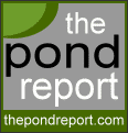 The Pond Report