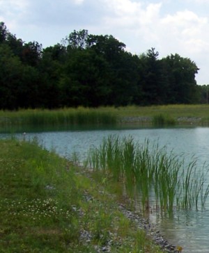 natural-earth-pond-buildings.jpg