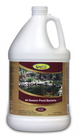 Liquid Pond Bacteria - All Season Formula